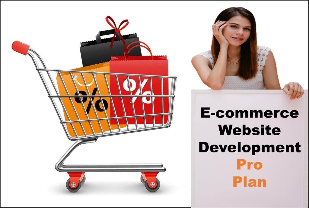 professional ecommerce website development agency in Augusta Maine