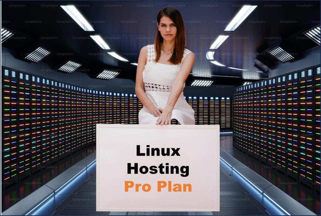 linux hosting windows hosting provider in Augusta Maine
