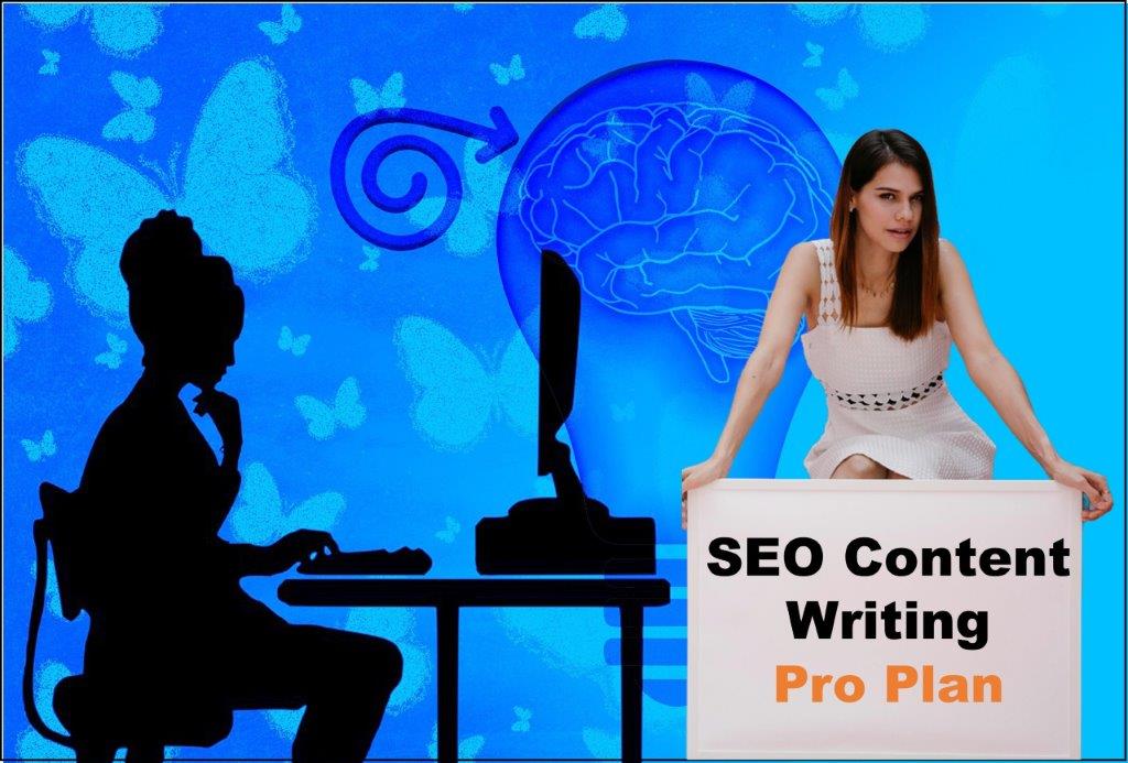 seo content writing agency Augusta Maine